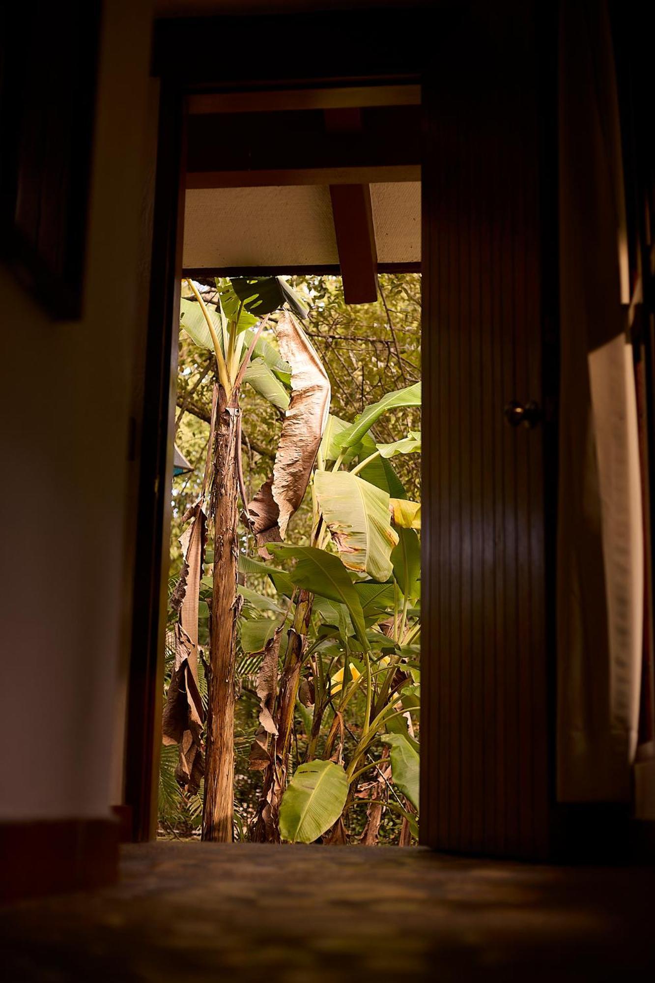 Chan-Kah Resort Village Convention Center & Maya Spa Palenque Exterior photo