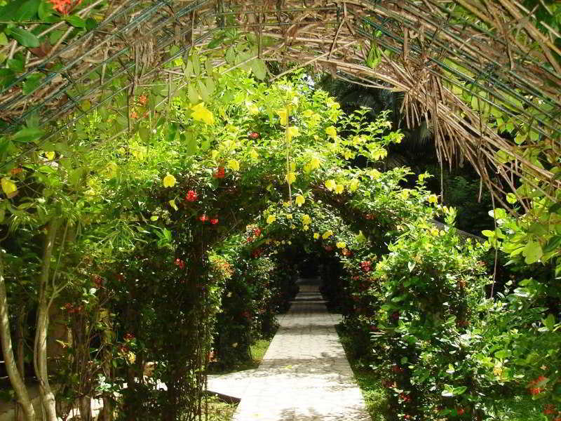 Chan-Kah Resort Village Convention Center & Maya Spa Palenque Exterior photo